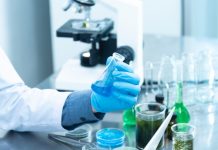 How to Get Biology Help for Stats Online and Save Precious Time